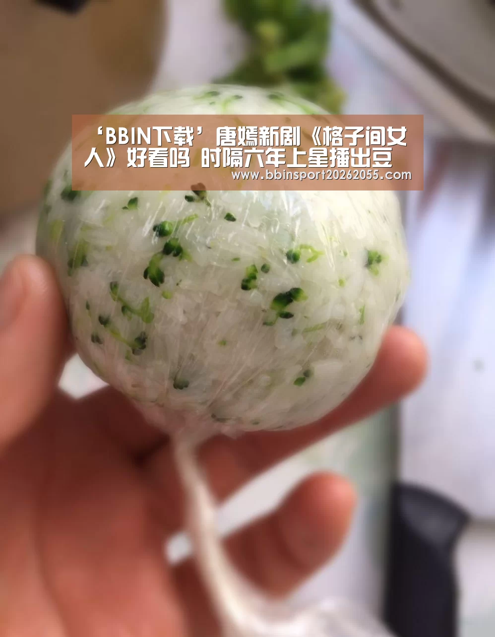 BBIN国际厅