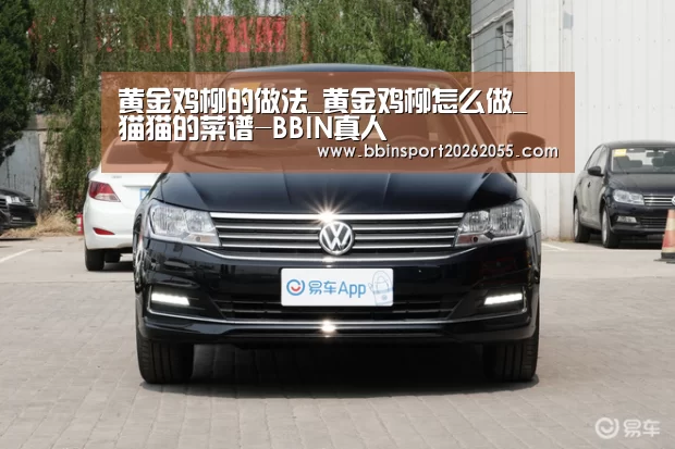 BBIN下载