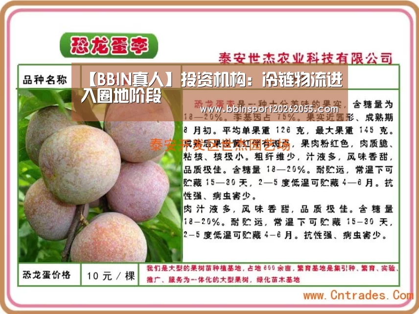 BBIN国际厅