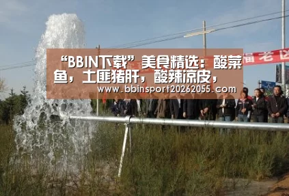 “BBIN下载”美食精选:酸菜鱼,土匪猪肝,酸辣凉皮,红烧翅尖的做法(图2) BBIN国际厅