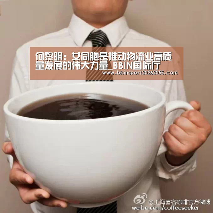 BBIN下载