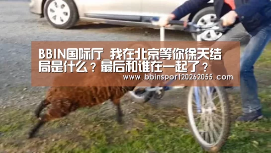 BBIN国际厅_我在北京等你徐天结局是什么?最后和谁在一起了?(图3) BBIN真人
