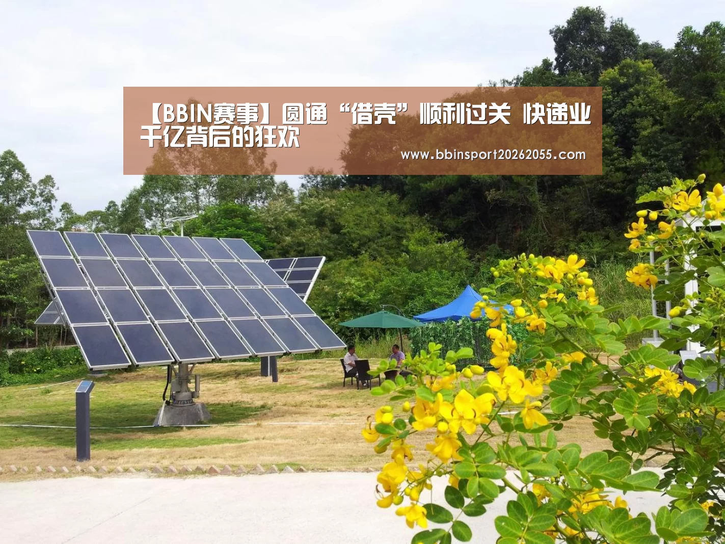【BBIN赛事】圆通“借壳”顺利过关 快递业千亿背后的狂欢(图1) BBIN赛事