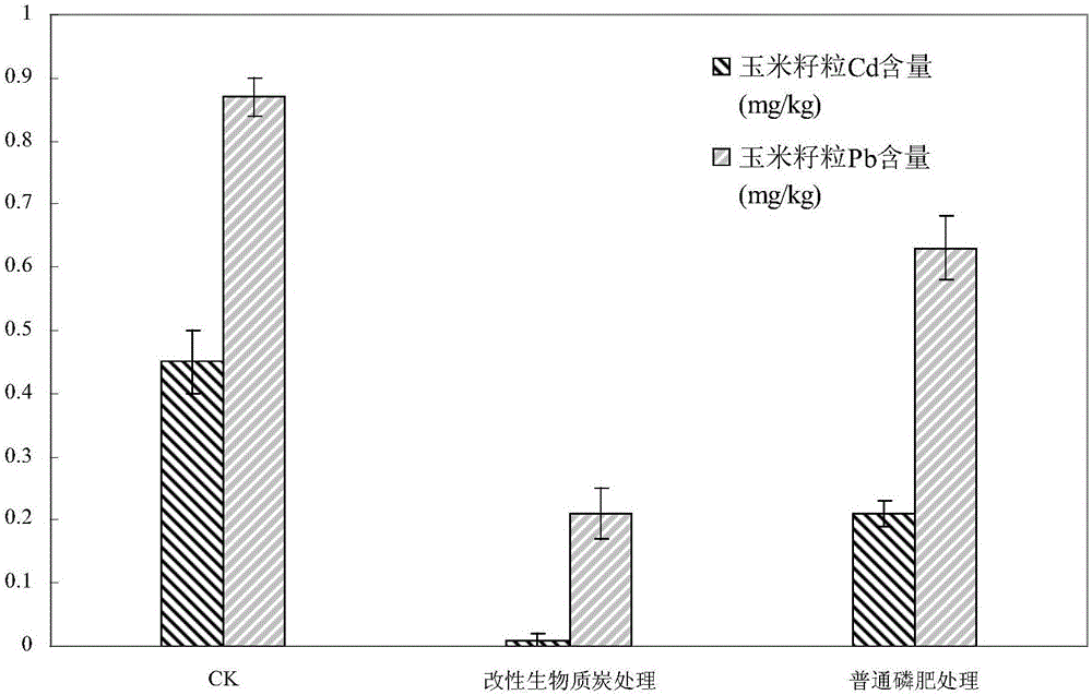 BBIN下载